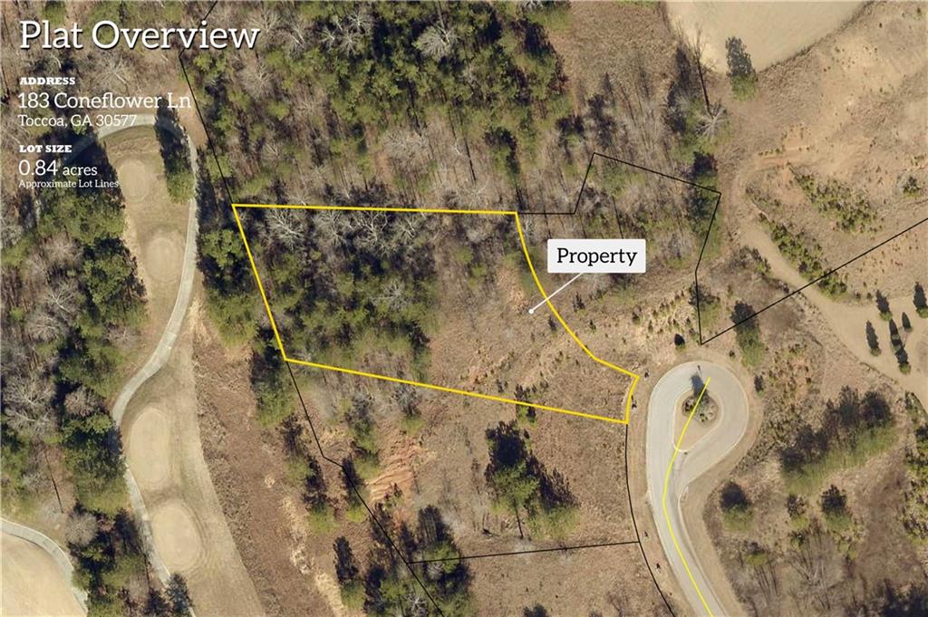 183 Coneflower Lane Property Photo 5