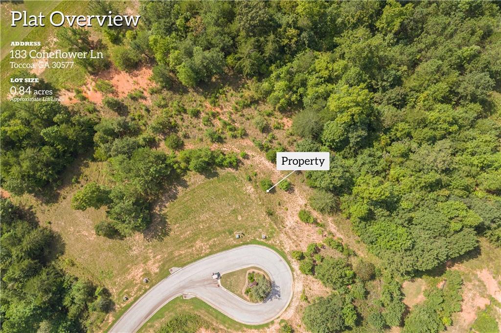 183 Coneflower Lane Property Photo 6