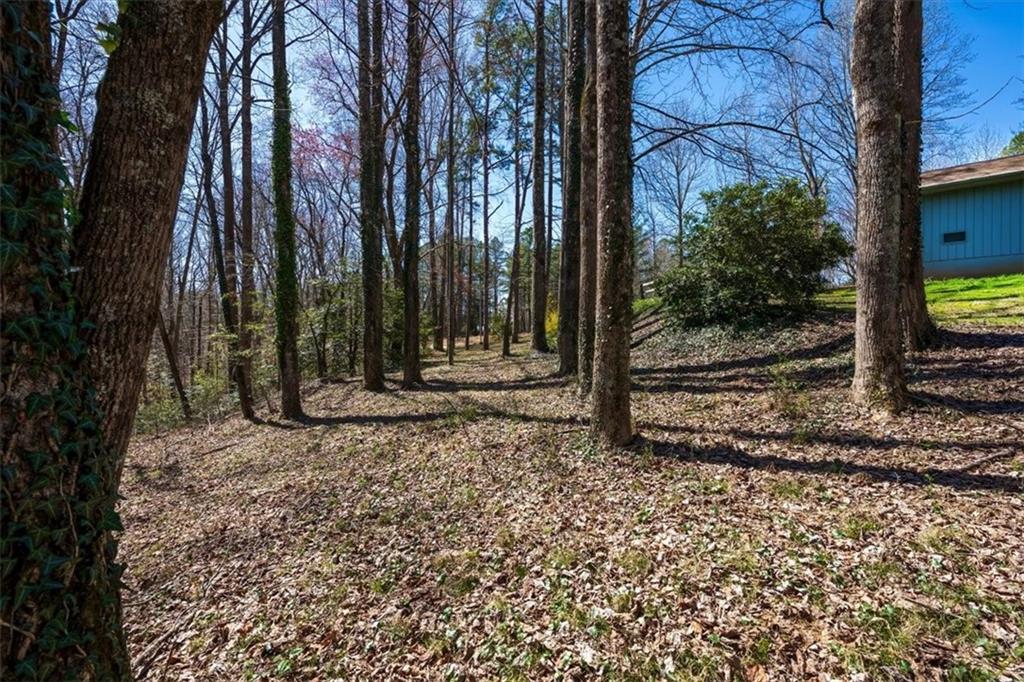 125 Bethel Church Rd Property Photo 33