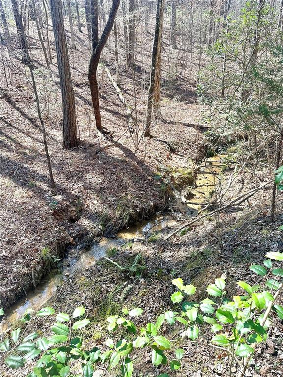 125 Bethel Church Rd Property Photo 34