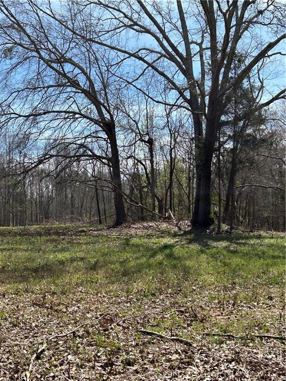 315 W Lake St Property Photo 1