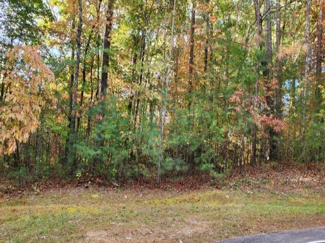 105 Sweetshrub Way Property Photo 1
