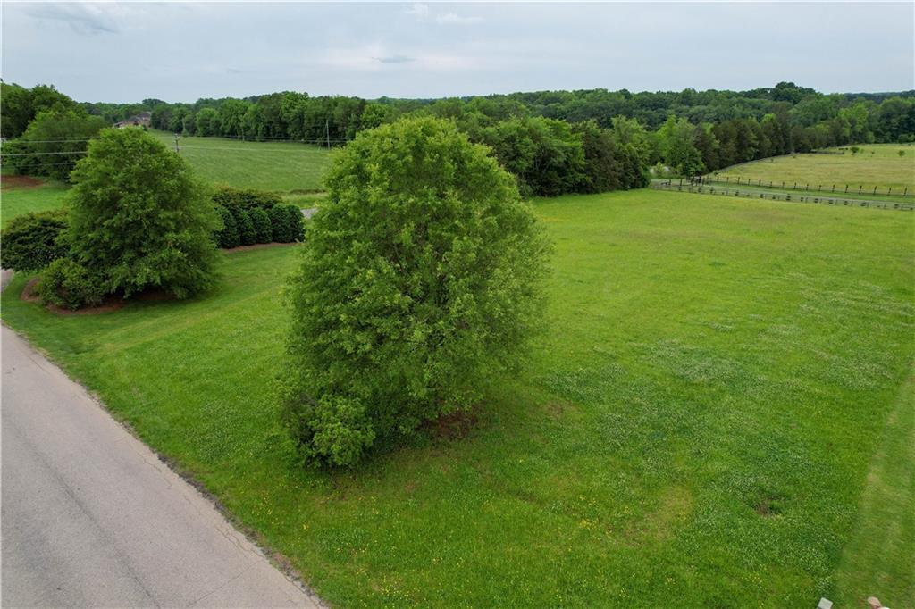 1611 Herndon Farm Rd Property Photo 7
