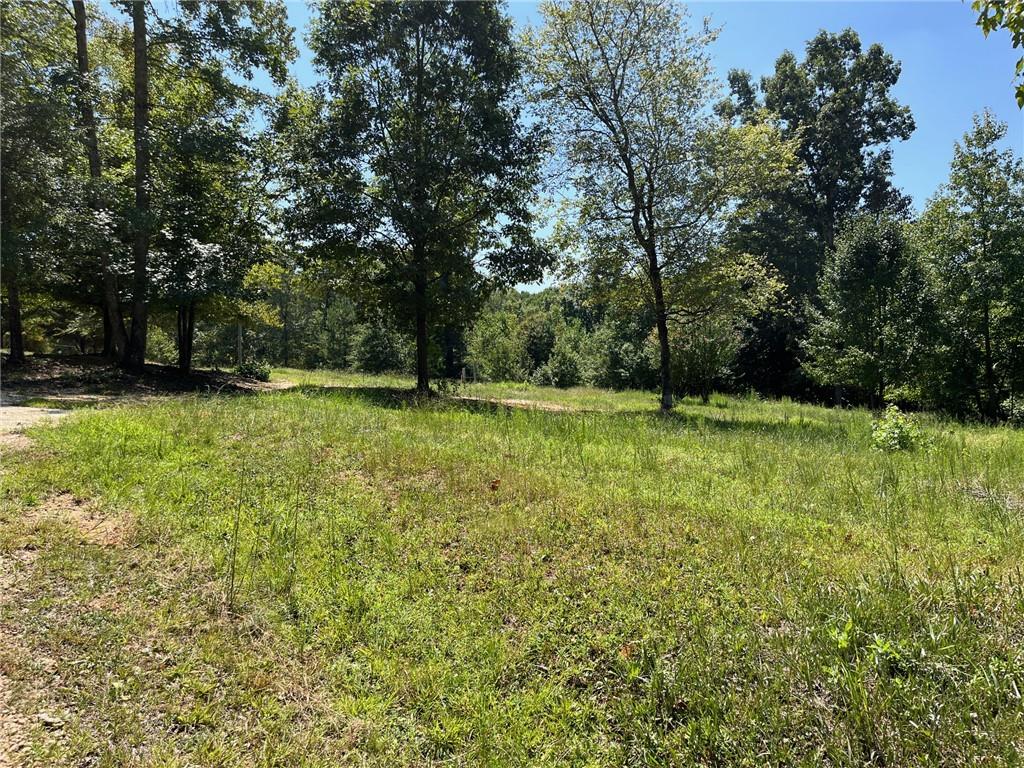 160 Sweetbriar Trl Property Photo 4