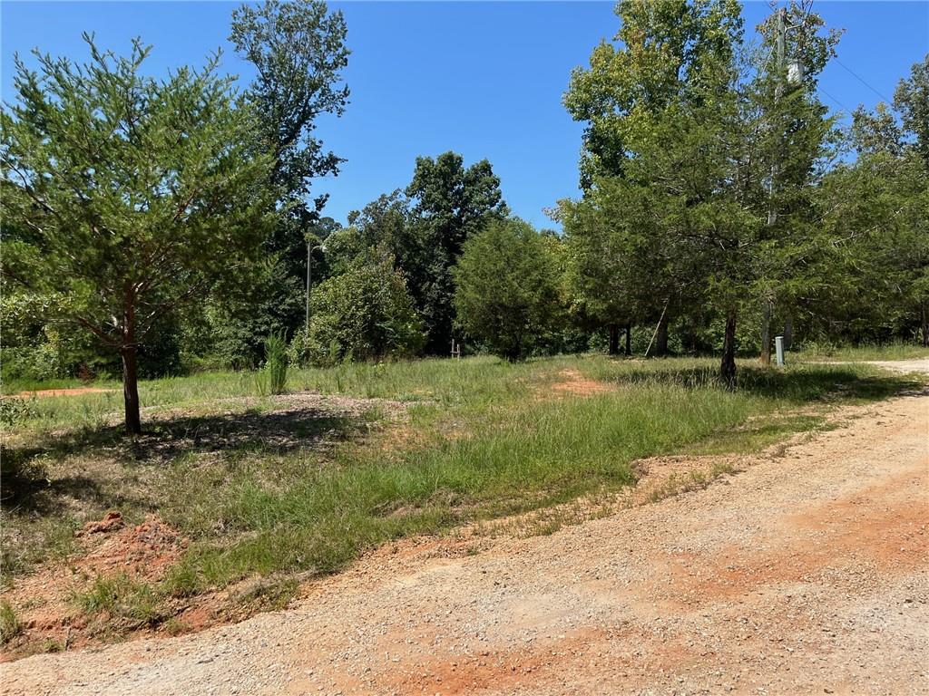 160 Sweetbriar Trl Property Photo 7