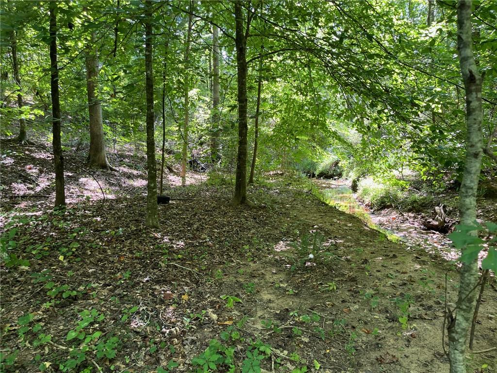 160 Sweetbriar Trl Property Photo 10