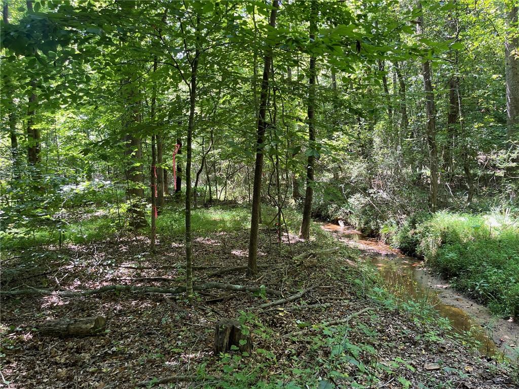 160 Sweetbriar Trl Property Photo 11