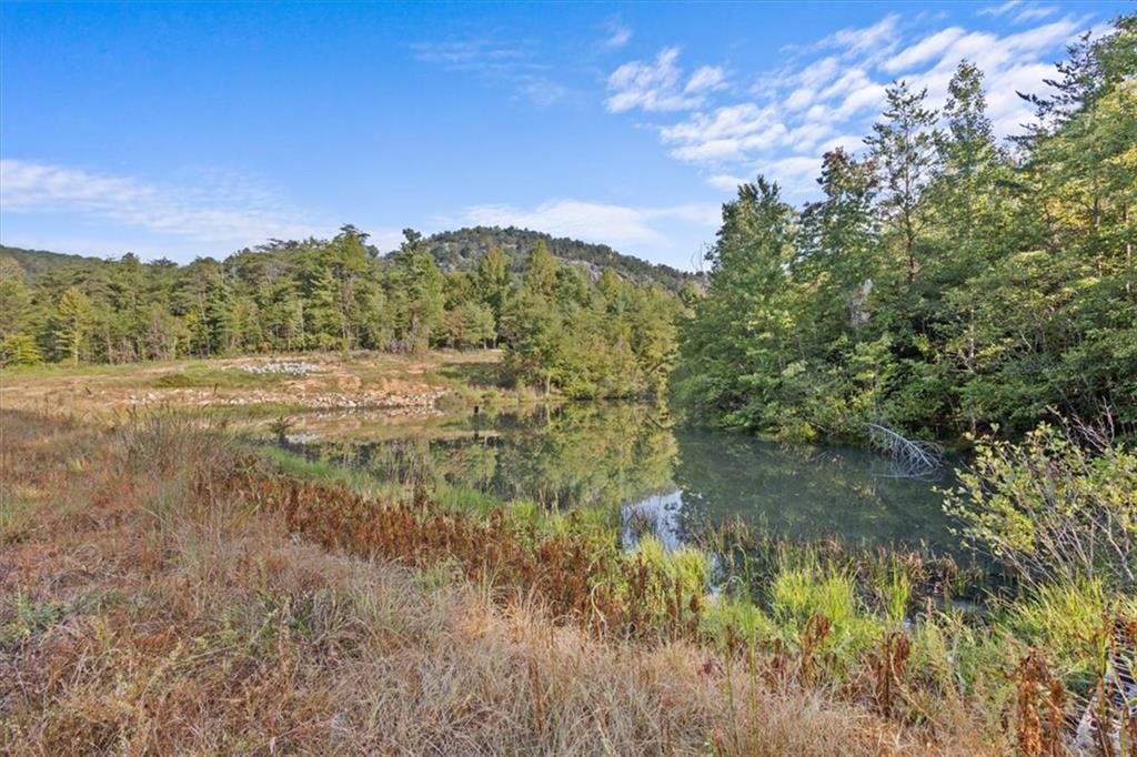 434 Big Rock Lake Rd Property Photo 5