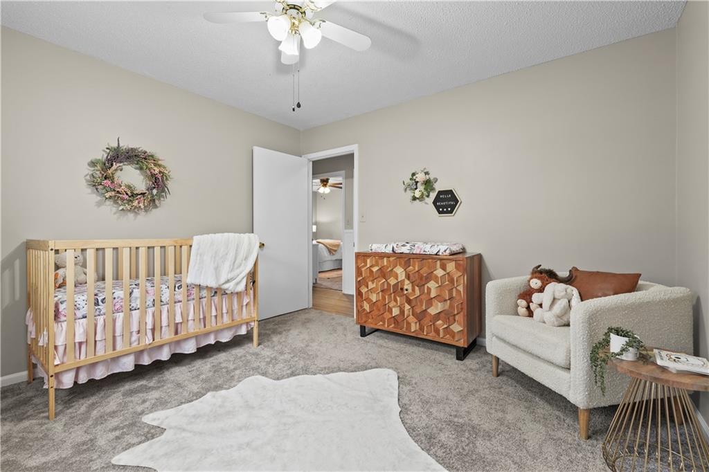 1415 Dunn Rd Property Photo 24