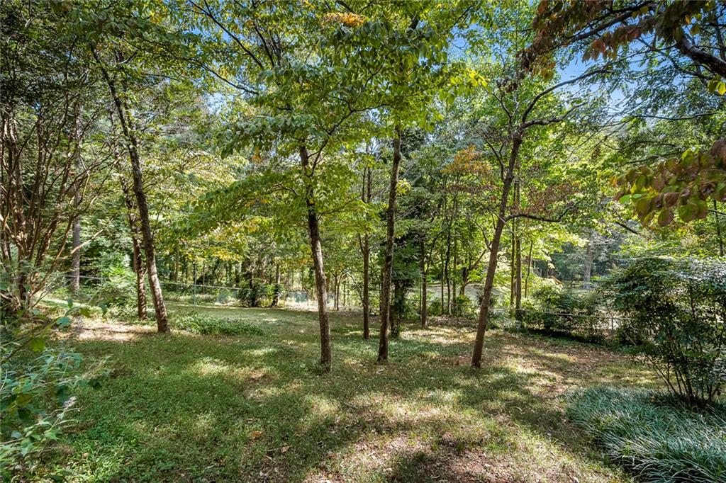 204 Thomas St Property Photo 44