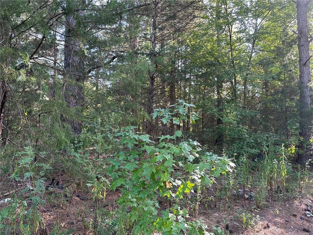 329 Hellams Rd Property Photo 6