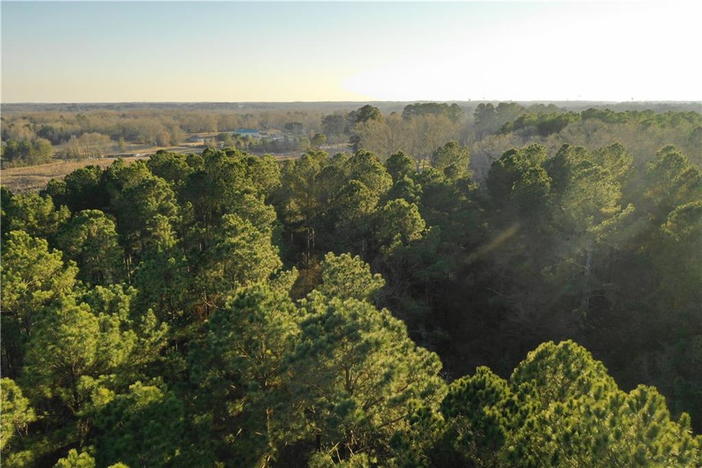 3405 Abbeville Hwy Property Photo 12