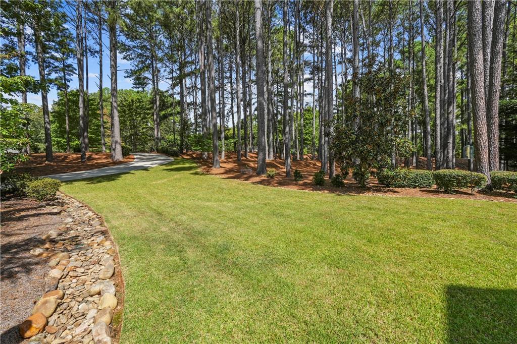 501 Birchbark Ct Property Photo 44