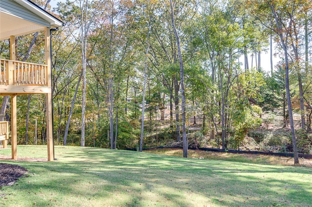 102 Pawleys Ct Property Photo 38