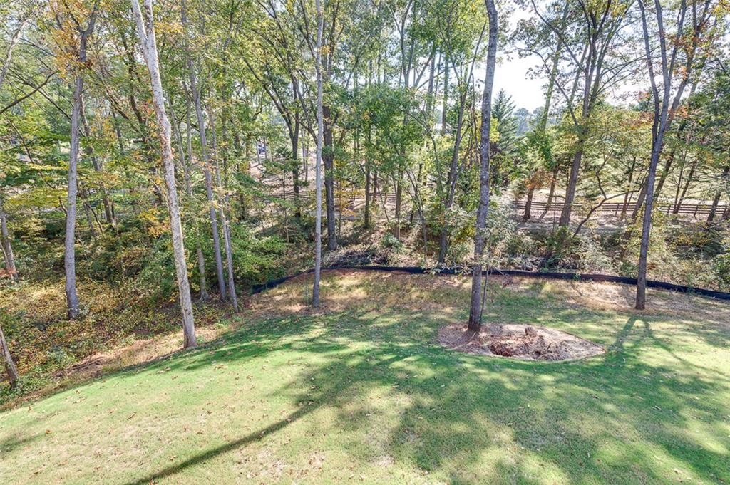 102 Pawleys Ct Property Photo 43