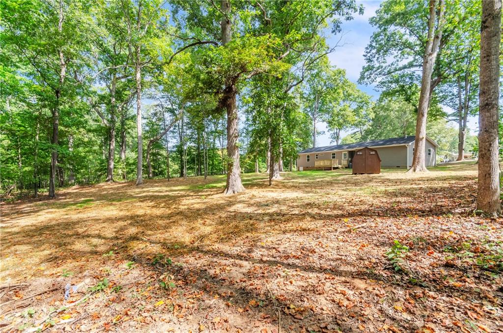 203 Mulberry Ln Property Photo 6