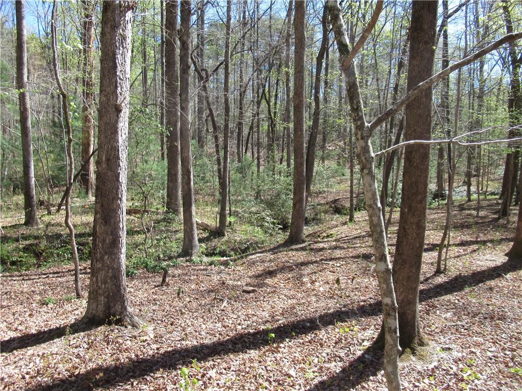 159 Shepherd Springs Dr Property Photo 2