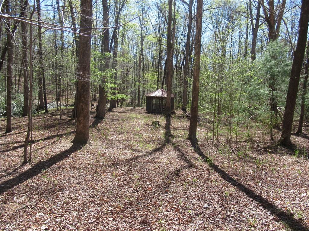 159 Shepherd Springs Dr Property Photo 3