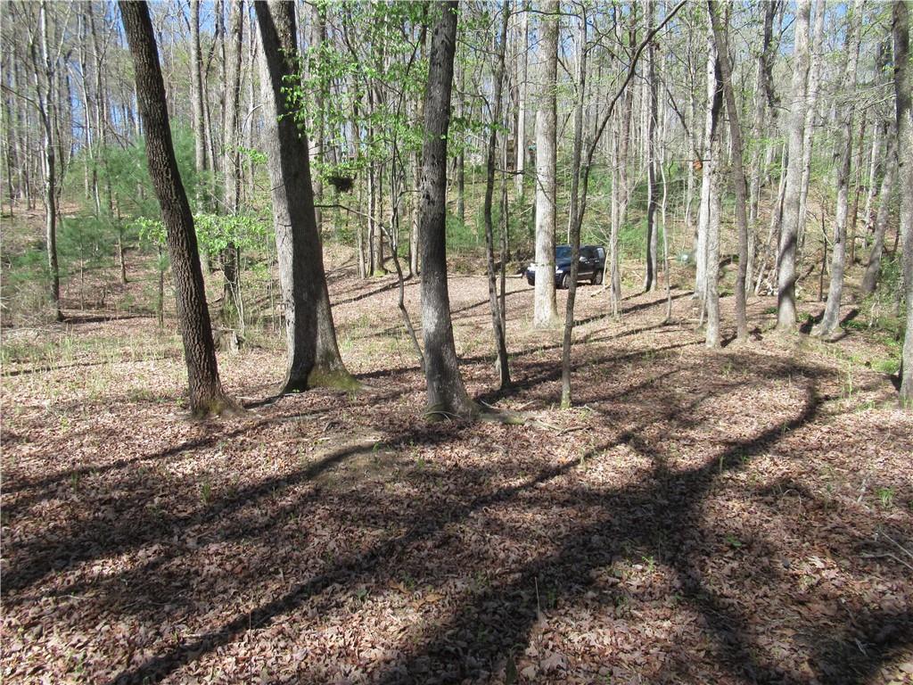 159 Shepherd Springs Dr Property Photo 10