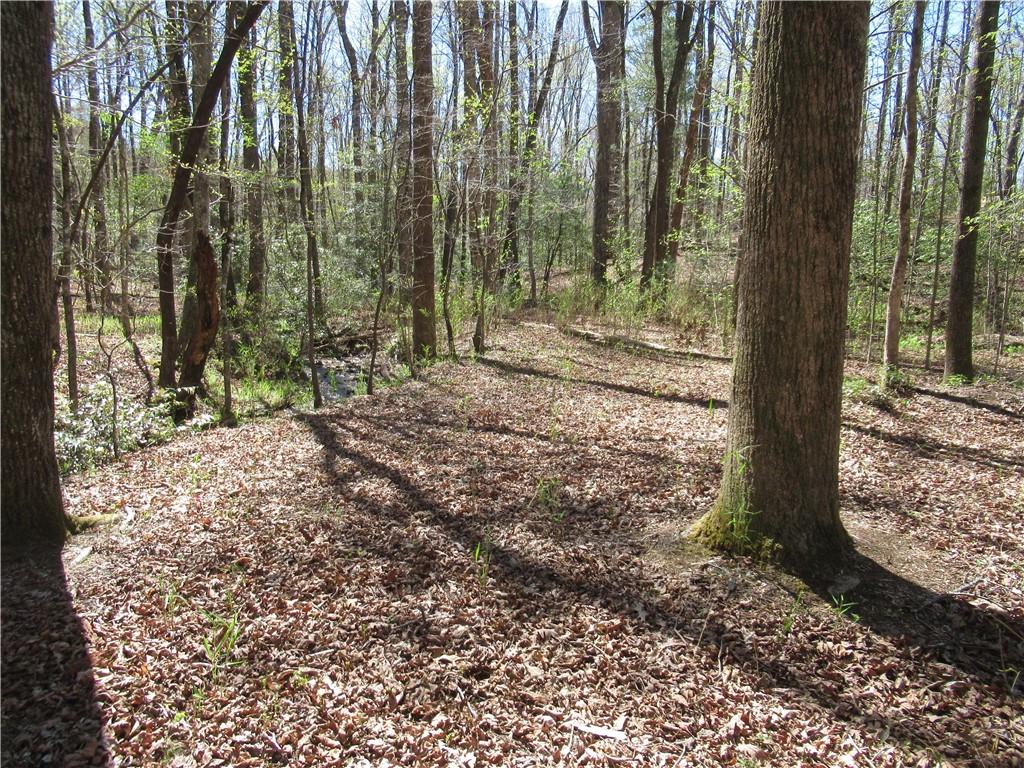 159 Shepherd Springs Dr Property Photo 11
