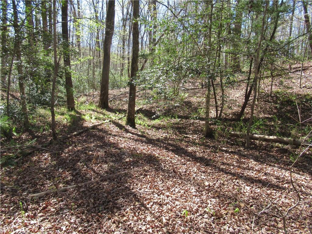 159 Shepherd Springs Dr Property Photo 14