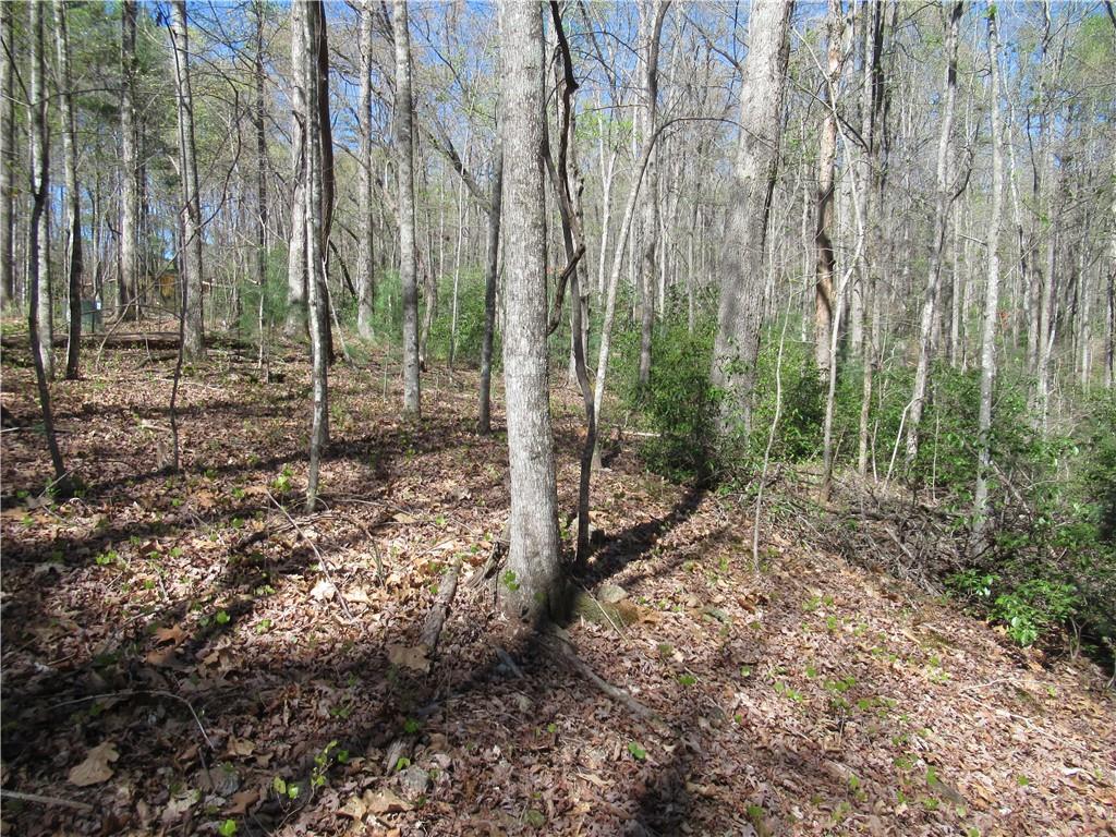 159 Shepherd Springs Dr Property Photo 18
