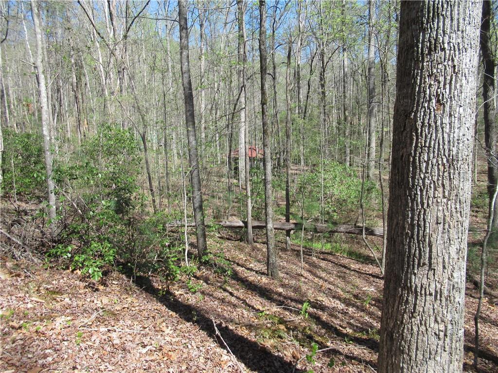 159 Shepherd Springs Dr Property Photo 19