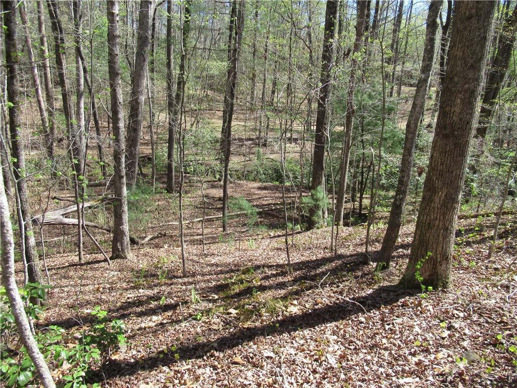 159 Shepherd Springs Dr Property Photo 20