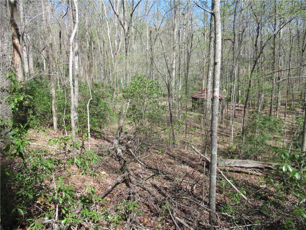 159 Shepherd Springs Dr Property Photo 21