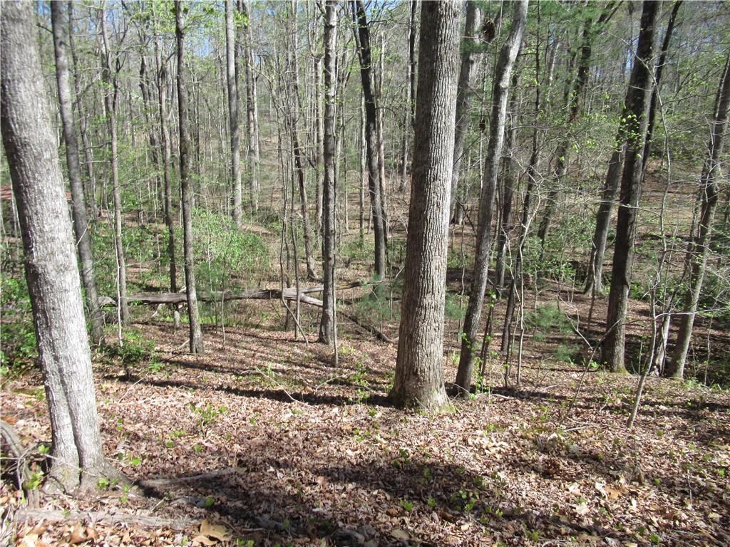 159 Shepherd Springs Dr Property Photo 22