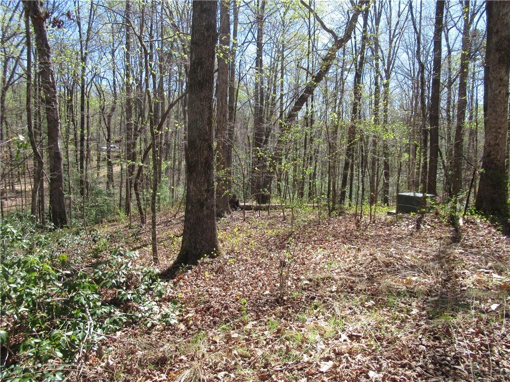159 Shepherd Springs Dr Property Photo 23