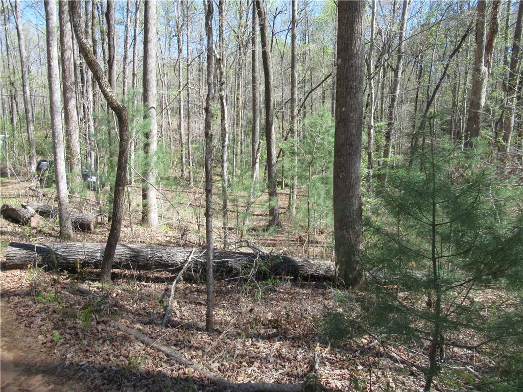 159 Shepherd Springs Dr Property Photo 25