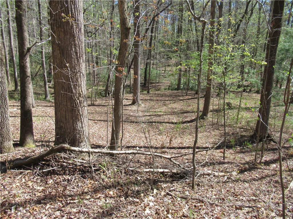 159 Shepherd Springs Dr Property Photo 27