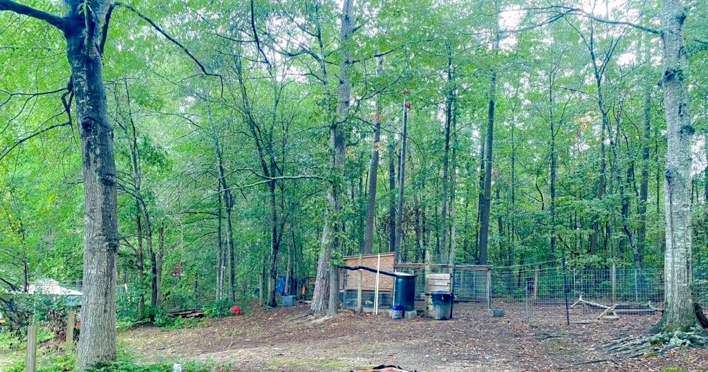 201 Larkwood Rd Property Photo 25