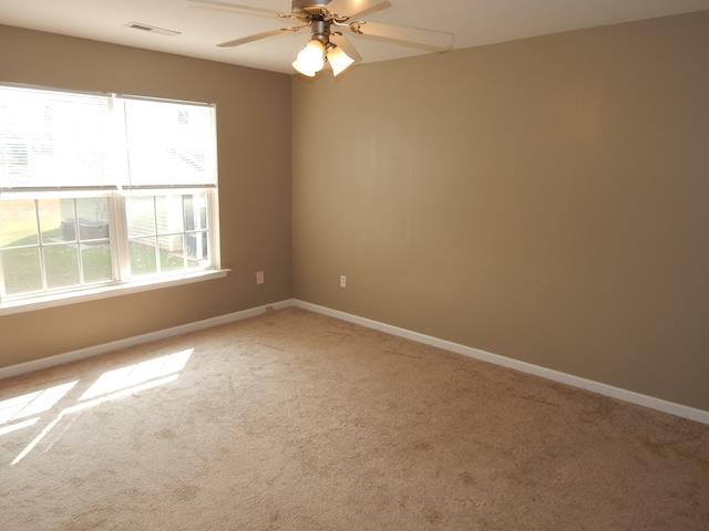 313 N Chestnut St Property Photo 21