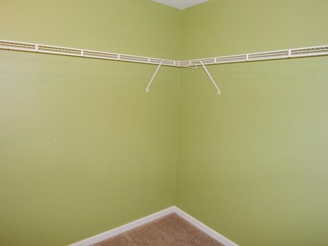 313 N Chestnut St Property Photo 26