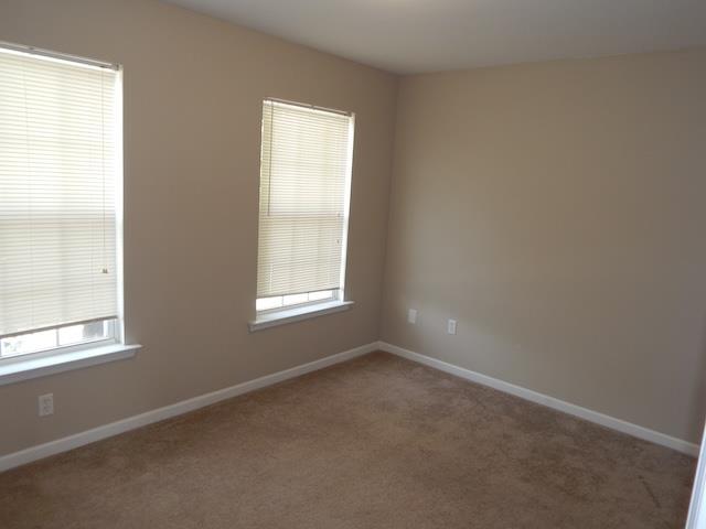313 N Chestnut St Property Photo 28