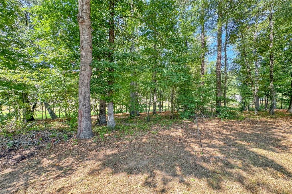339 Springdale Ave Property Photo 18