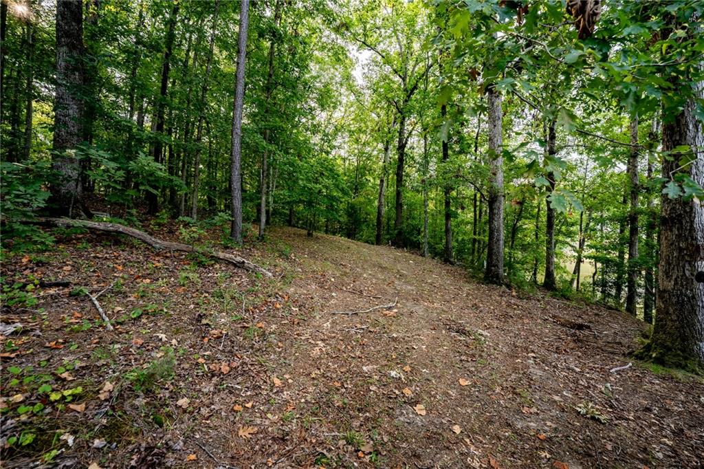 68 Buckeye Cir Property Photo 4