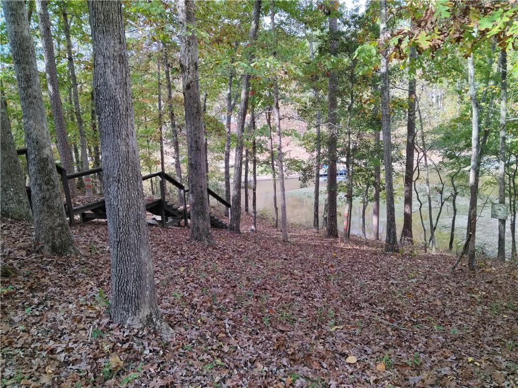 471 Shelor Ferry Rd Property Photo 4