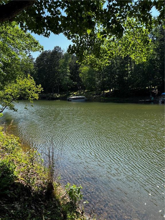 471 Shelor Ferry Rd Property Photo 15
