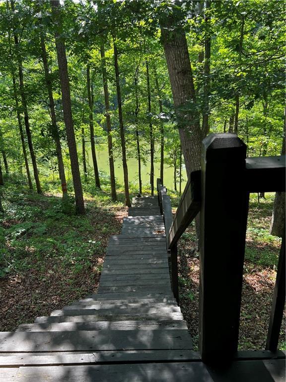 471 Shelor Ferry Rd Property Photo 18