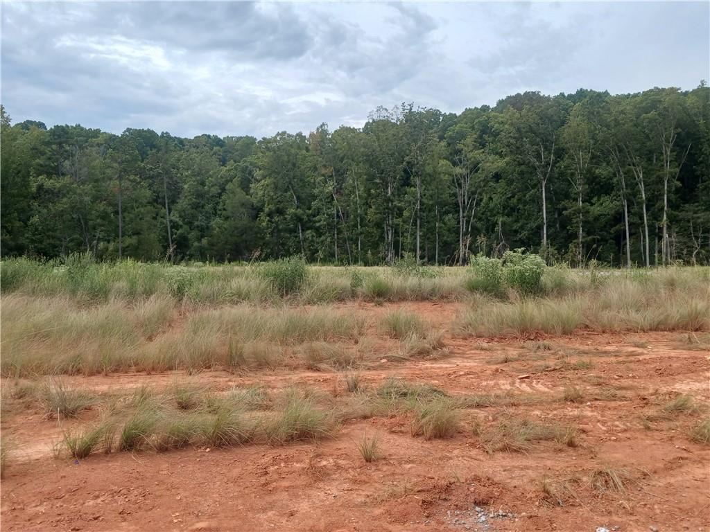 272 Juniper Valley Cir Property Photo 7