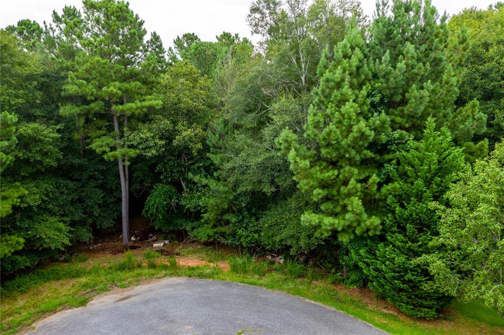 114 Trudy Ln Property Photo 4