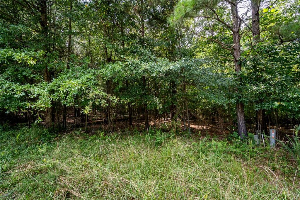 115 Trudy Ln Property Photo 5