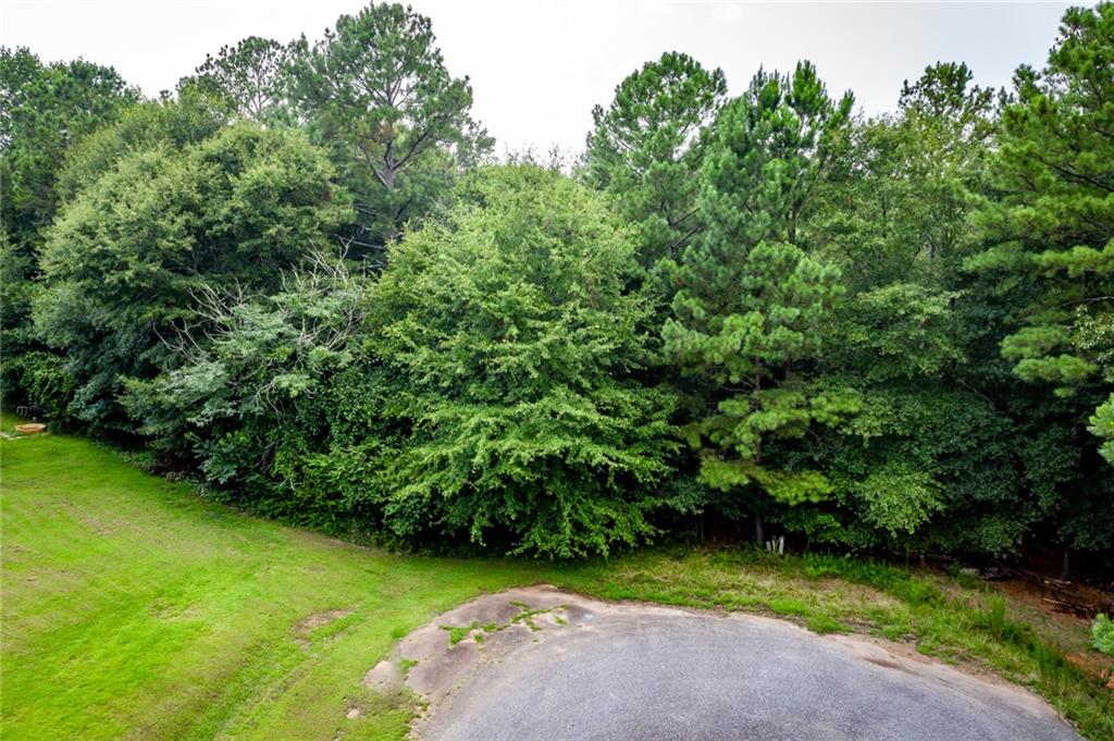 115 Trudy Ln Property Photo 6