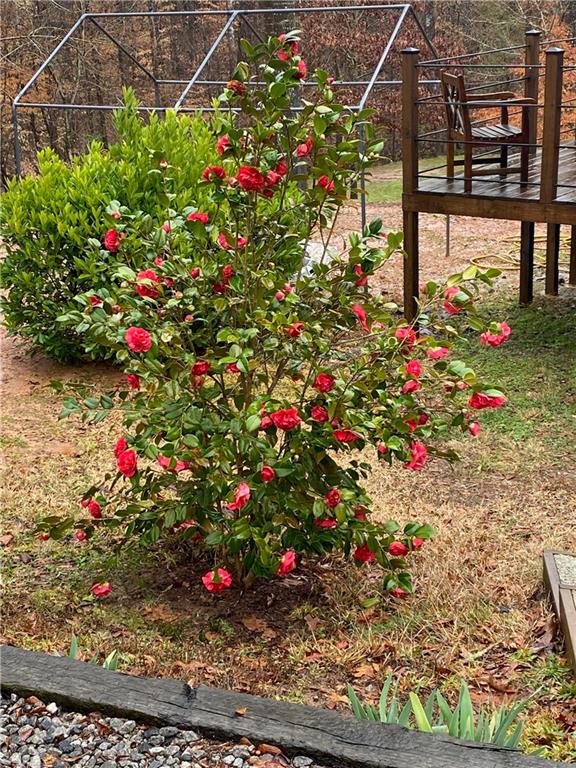 602 Lands End Rd Property Photo 27