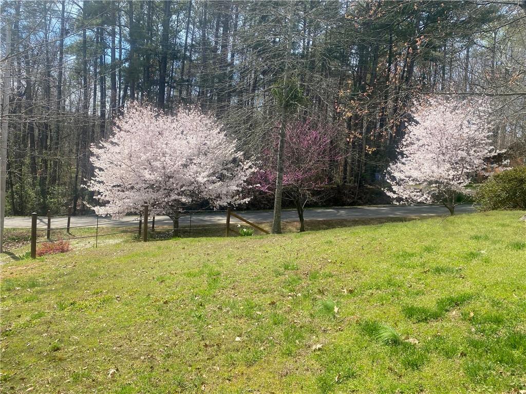 602 Lands End Rd Property Photo 28