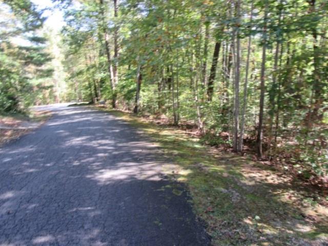305 Whispering Falls Dr Property Photo 1