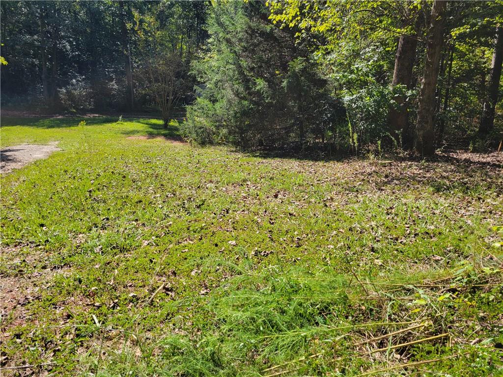 316 Mary Sue Ln Property Photo 6